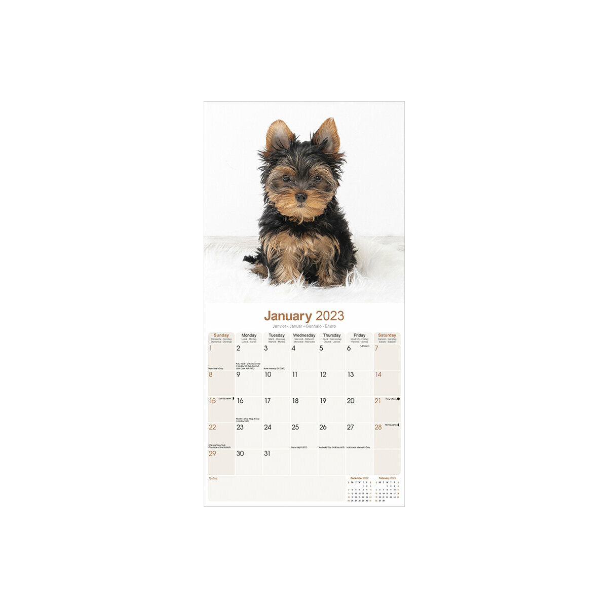 Calendrier Australien 2023 Calendrier Yorkshire Terrier Chiot 2023