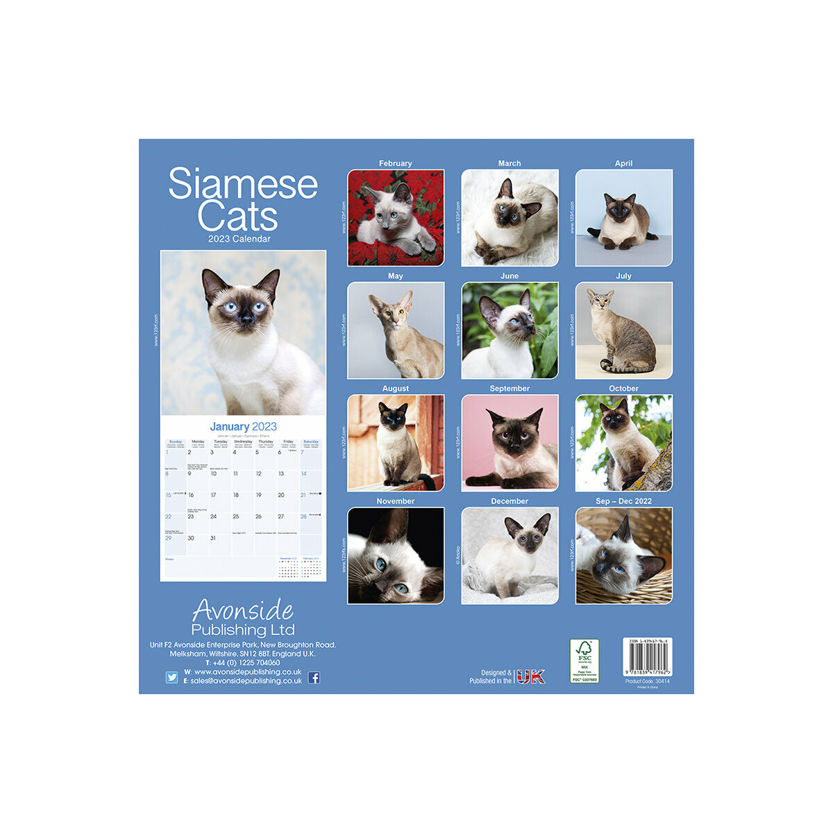 Calendrier 2023 Chats Calendrier Chat Siamois 2023