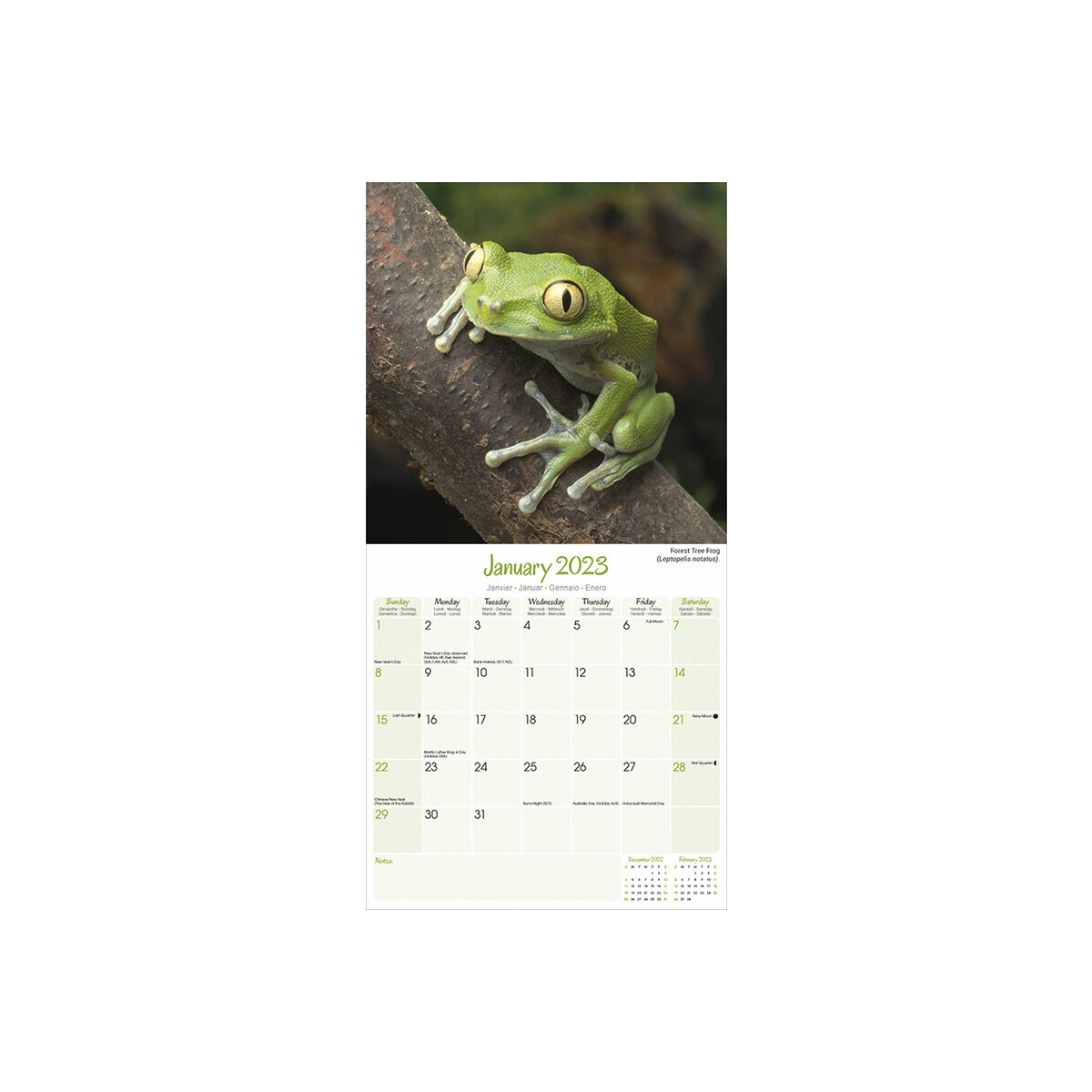 Calendrier 2023 Grenouille