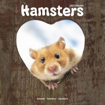 Calendrier 2023 Hamster