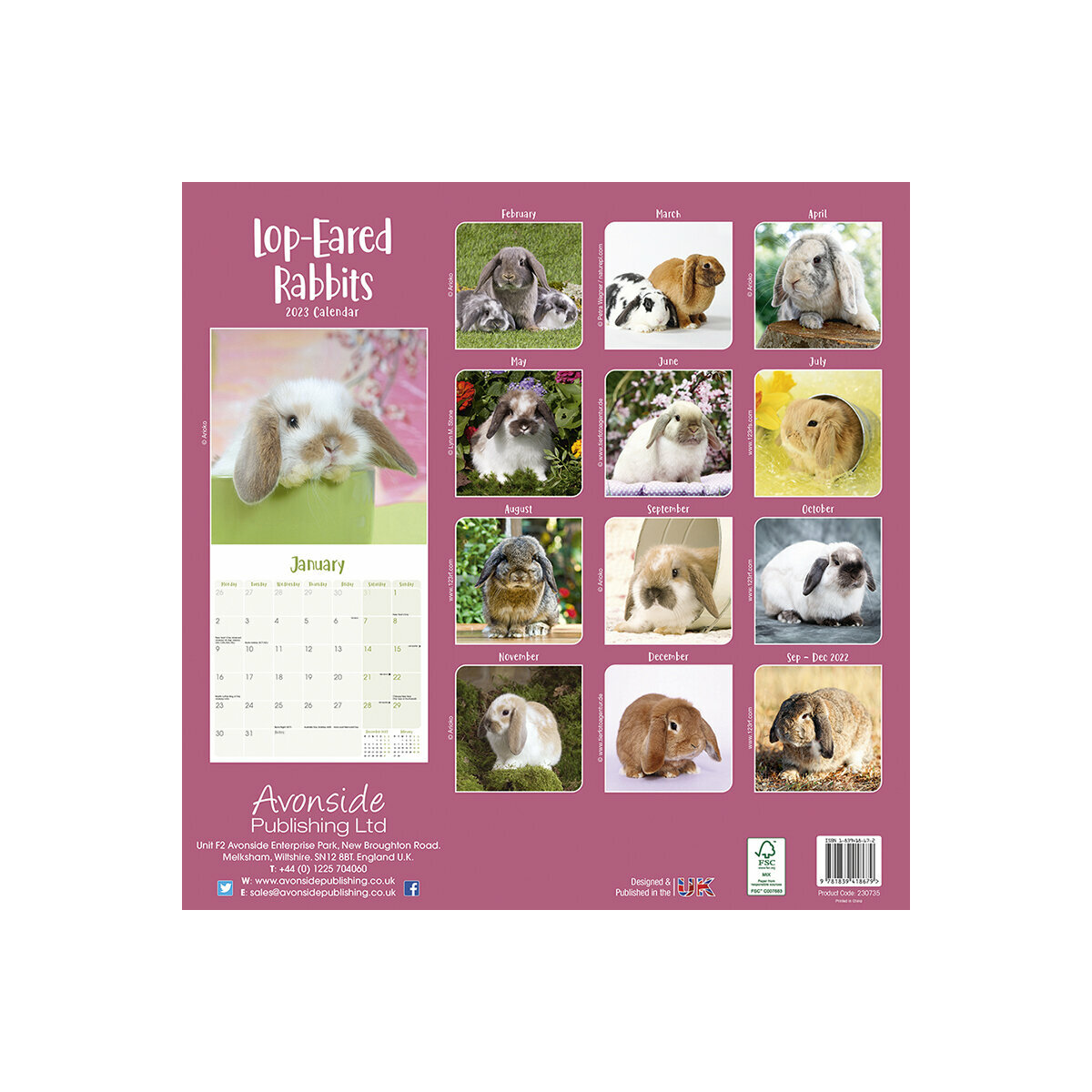 Calendrier Lapin 2023 Calendrier 2023 Lapin