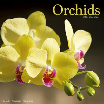 Calendrier 2023 Orchidée