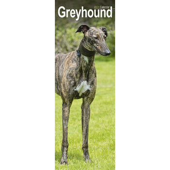 Calendrier 2023 Greyhound slim