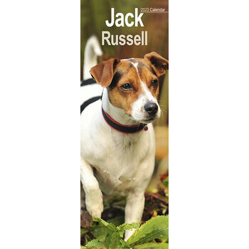 Calendrier 2023 Jack russell terrier slim
