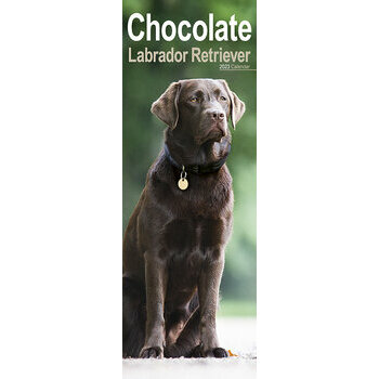 Calendrier 2023 Labrador chocolat slim