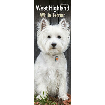 Calendrier 2023 West highland white terrier slim