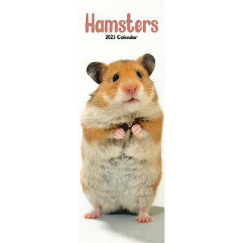 Calendrier 2023 Hamster slim