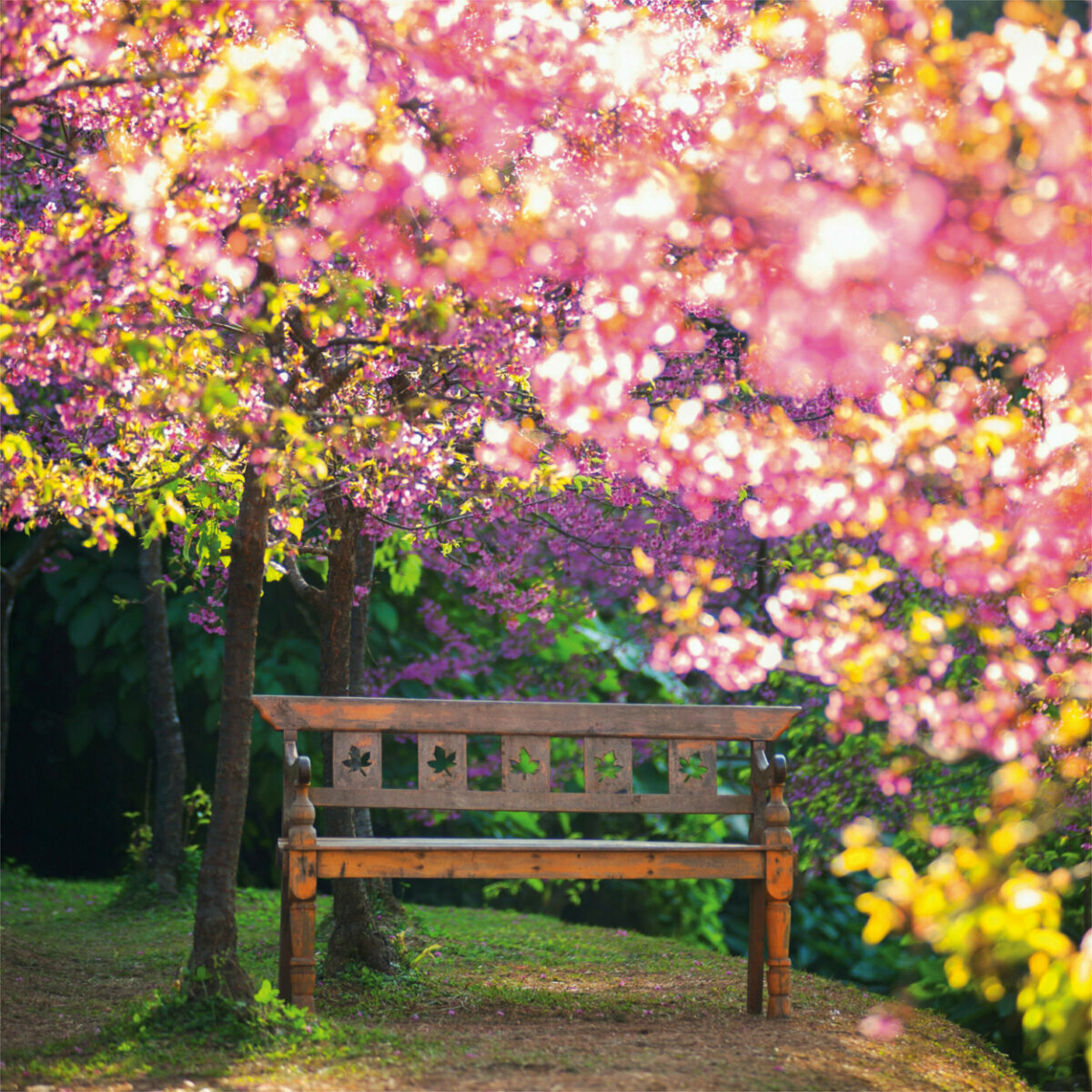 Calendrier 2023 Japon Calendrier 2023 Japon