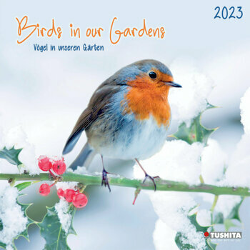 Calendrier 2023 Oiseaux de nos jardins