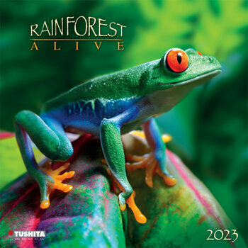 Calendrier 2023 Animaux forêt tropicale