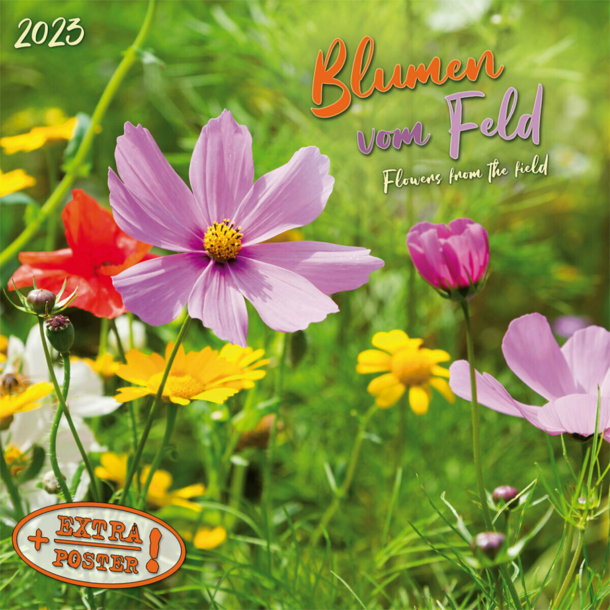Calendrier 2023 Fleurs des champs AVEC POSTER OFFERT