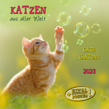Calendrier Chevalet 2023 Chats Calendrier Chat 2023