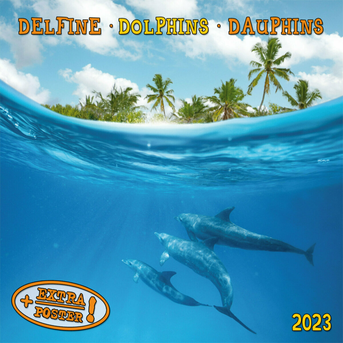 Calendrier 2023 Dauphin avec poster offert