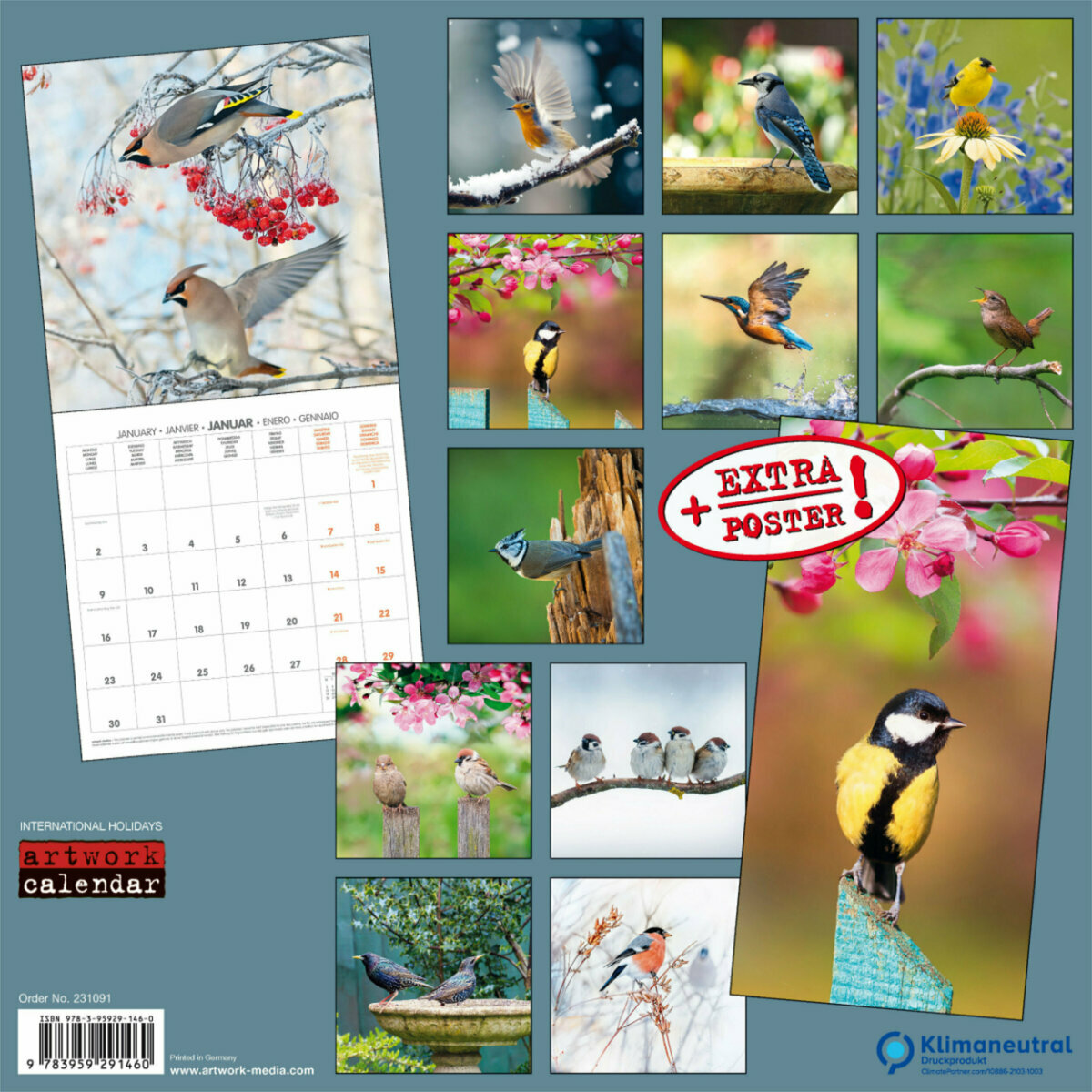 Calendrier Oiseaux 2023 Calendrier 2023 Oiseaux Du Jardin Avec Poster Offert Calendrier Oiseaux 2023 Calendrier 2023 Oiseaux Du Jardin Avec Poster Offert