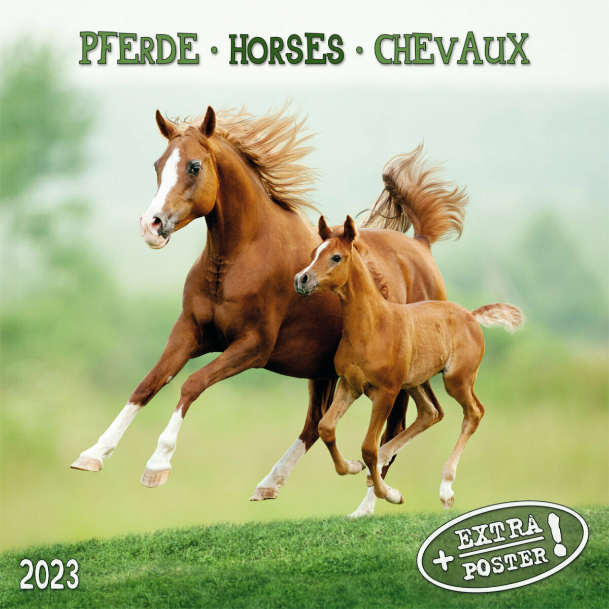 Calendrier Cheval 2023 Calendrier 2023 Chevaux Avec Poster Offert