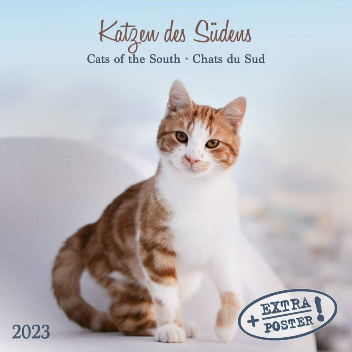 Calendrier 2023 Photo Chat Calendrier 2023 Chats Du Sud Avec Poster Offert