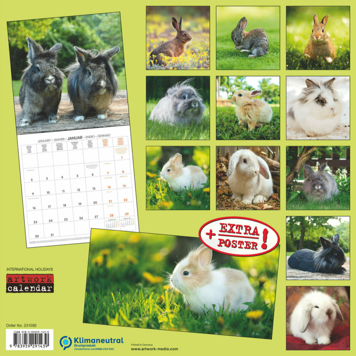 Calendrier Lapin 2023 Calendrier 2023 Lapin Avec Poster Offert