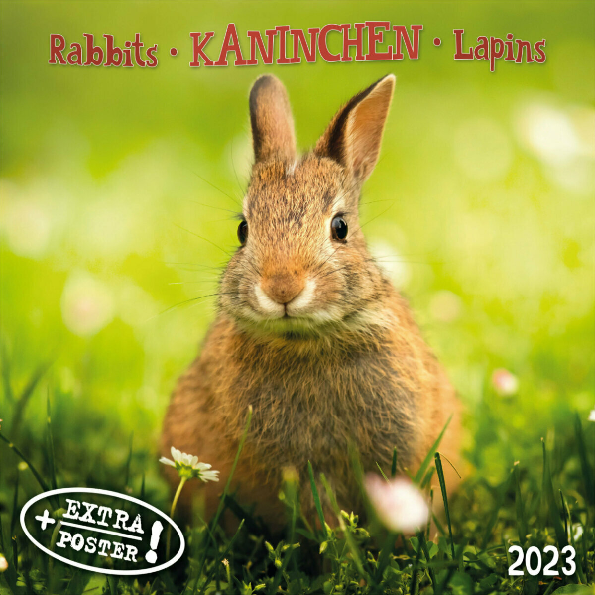 Calendrier Lapin 2023 Calendrier 2023 Lapin Avec Poster Offert