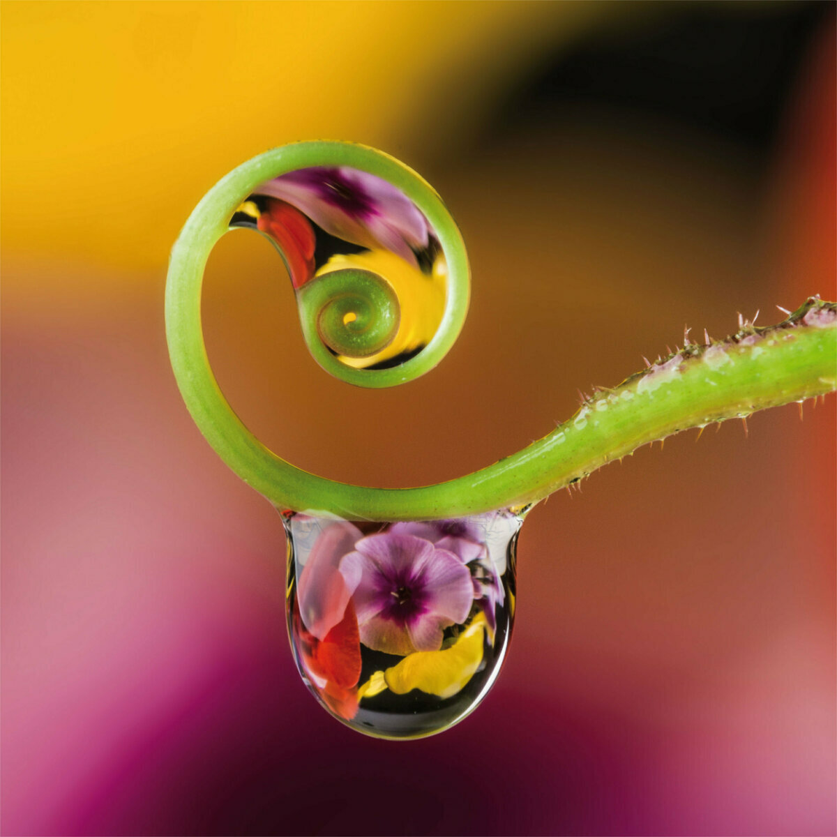 Calendrier 2023 Zen AVEC POSTER OFFER Calendrier 2023 Zen AVEC POSTER OFFER