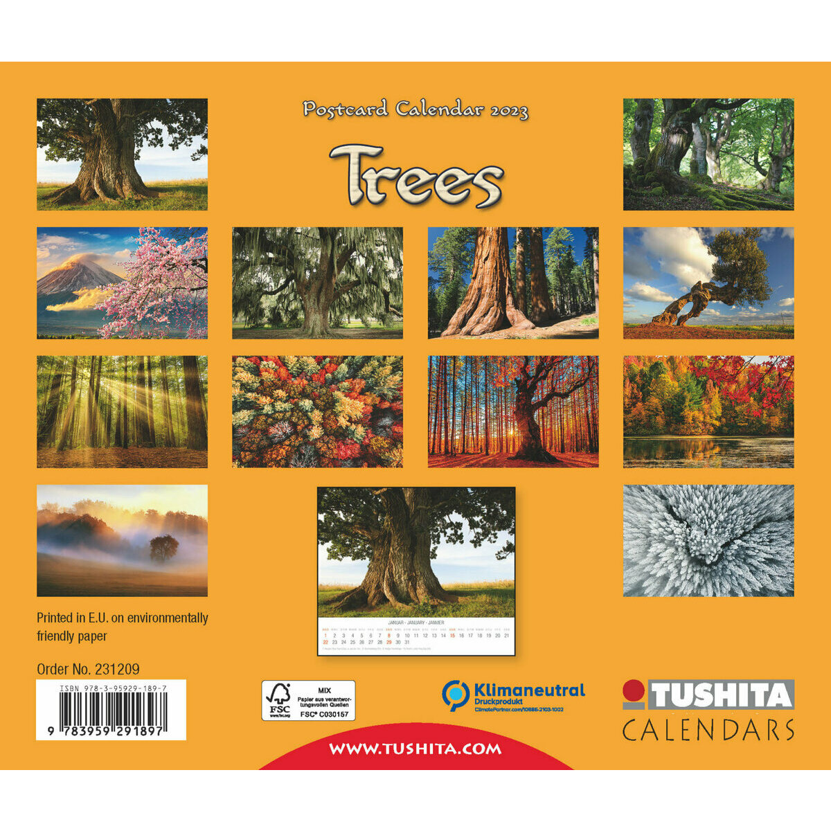 Calendrier 2023 Carte Postale Calendrier Carte Postale 2023 Arbre