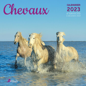 Calendrier Chevaux 2023 Calendriers 2023 Chevaux