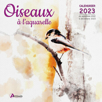 Calendrier Bourse Aux Oiseaux 2023 Calendriers Oiseaux Et Rapaces 2023