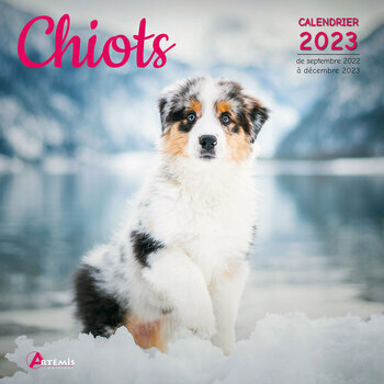 Calendrier 2023 Chiot