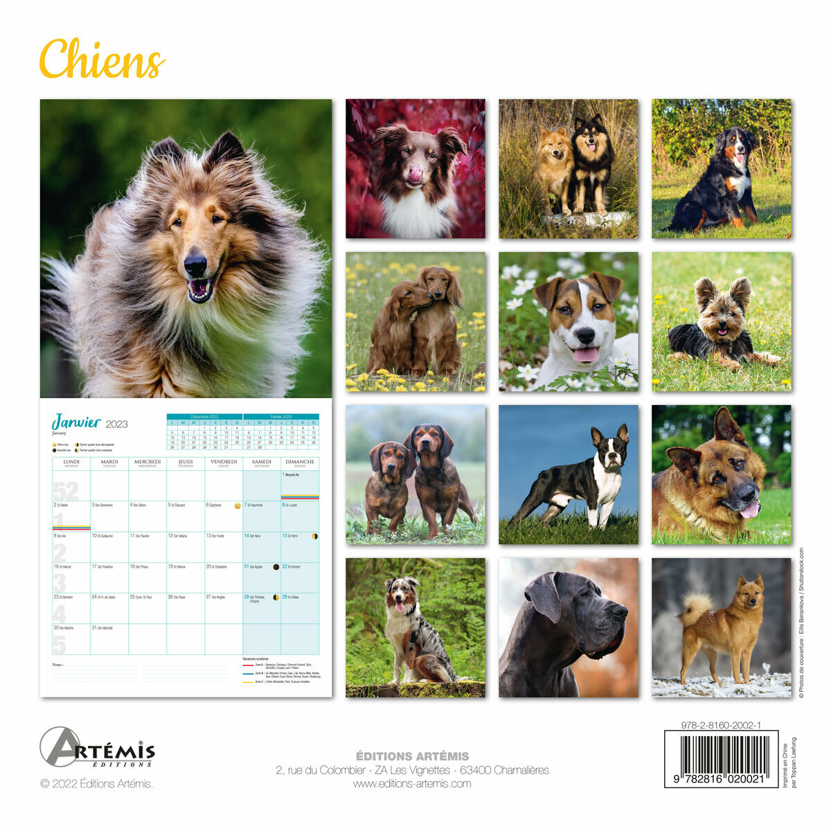 Calendrier 2023 Chien