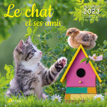 Calendrier Chevalet 2023 Chats Les Plus Beaux Calendrier Chats De Race 2023