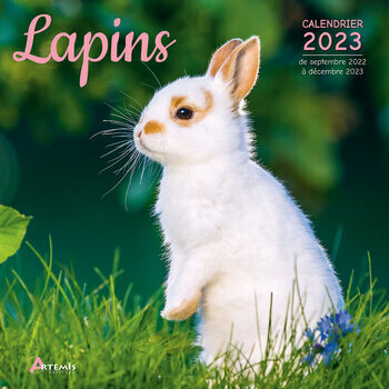 Calendrier 2023 Lapin