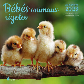 Calendrier 2023 Bébés animaux rigolo