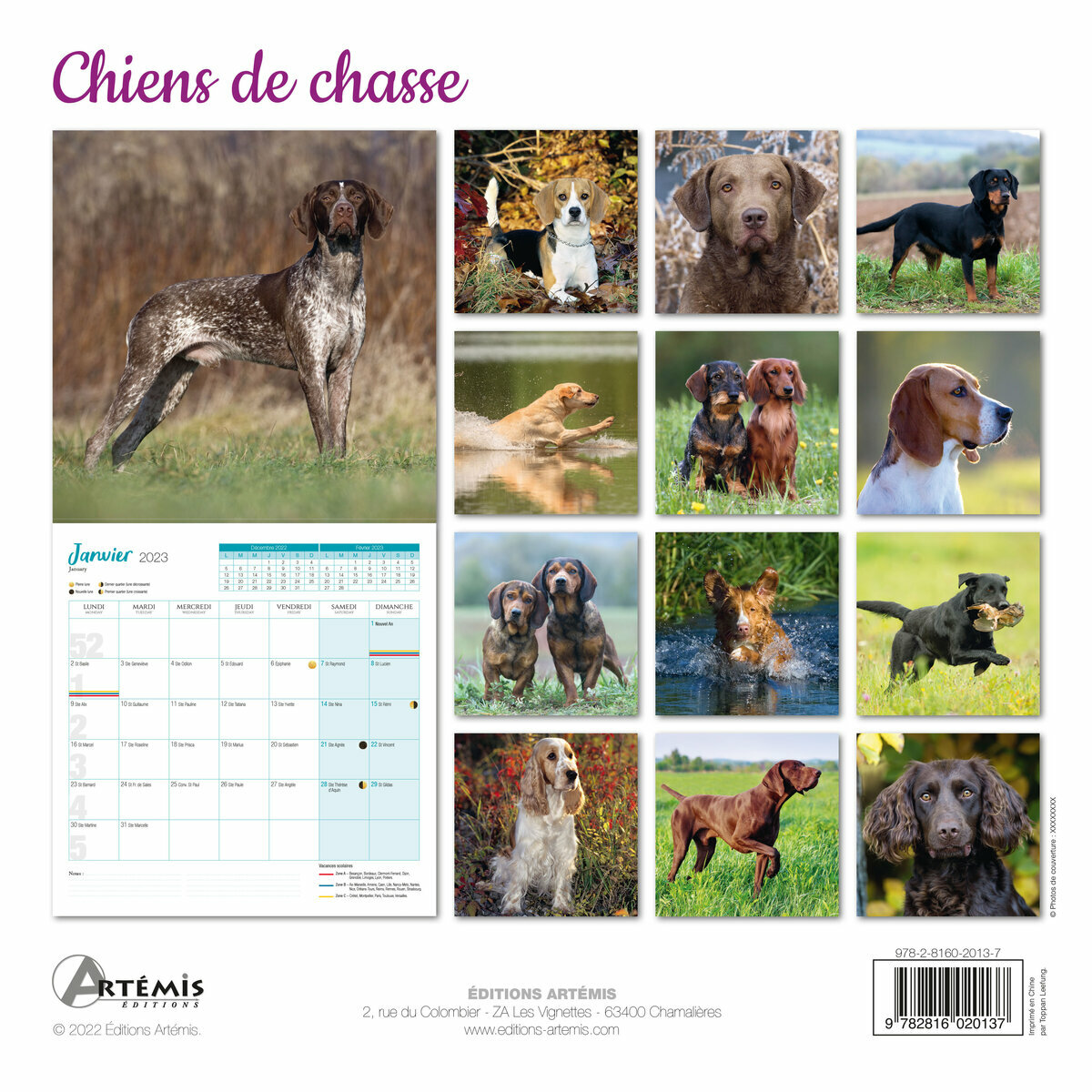 Calendrier 2023 Chien de chasse