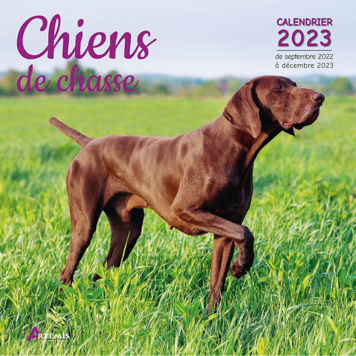 Calendrier 2023 Des Chiens Calendrier 2023 Chien De Chasse