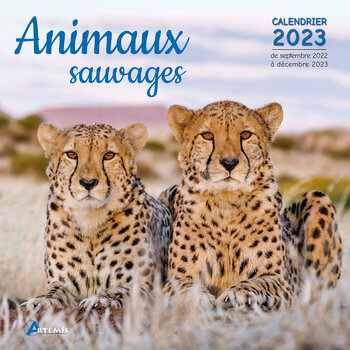 Calendrier 2023 Animaux sauvages 