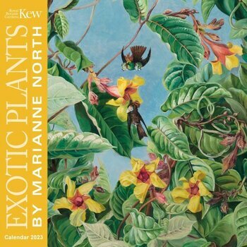 Calendrier 2023 Dessin Fleur exotique - Marianne North