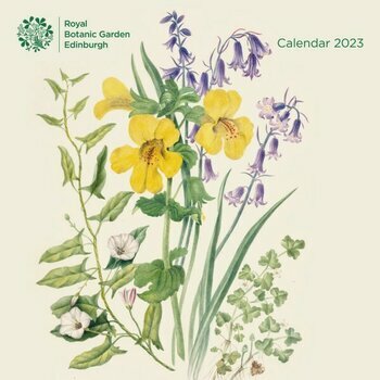 Calendrier 2023 Dessin Botanique retro