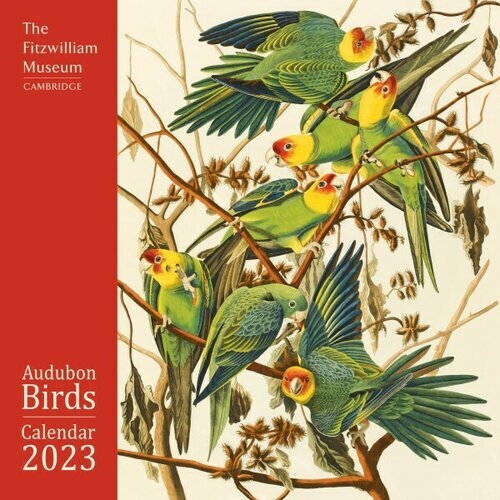 Calendriers oiseaux et rapaces 2024