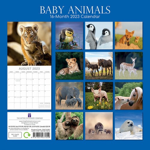 Calendrier 2023 Bébés Calendrier 2023 Bébé Animaux