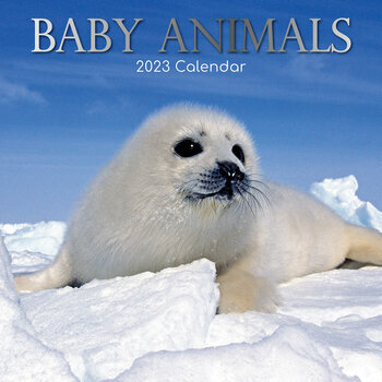 Calendrier 2023 Bébé animaux