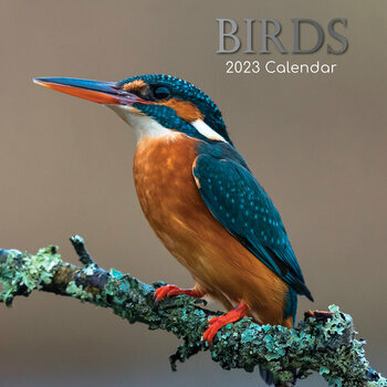 Calendrier 2023 Oiseaux nature Calendrier 2023 Oiseaux nature