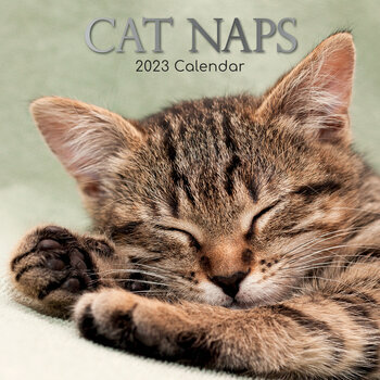 Calendrier 2023 Chat endormi