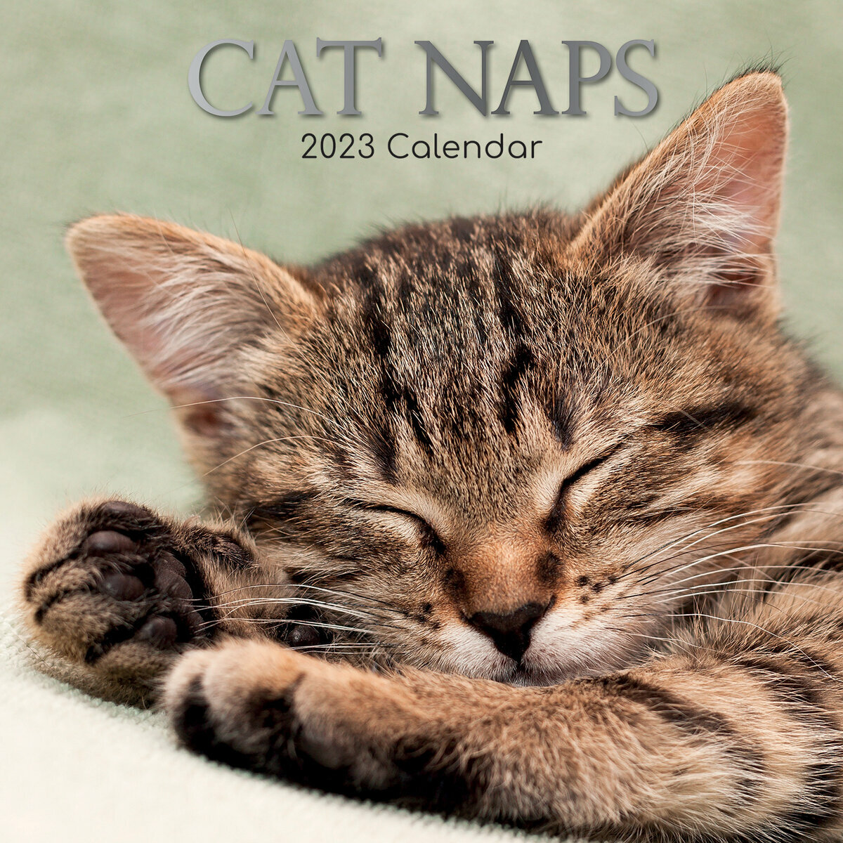 Calendrier Le Chat 2023 Calendrier 2023 Chat Endormi