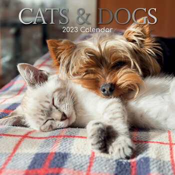 Calendrier 2023 Chat et chien