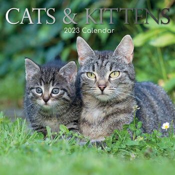 Calendrier 2023 Chat et chaton