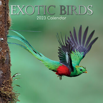 Calendrier Bourse Aux Oiseaux 2023 Calendriers Oiseaux Et Rapaces 2023