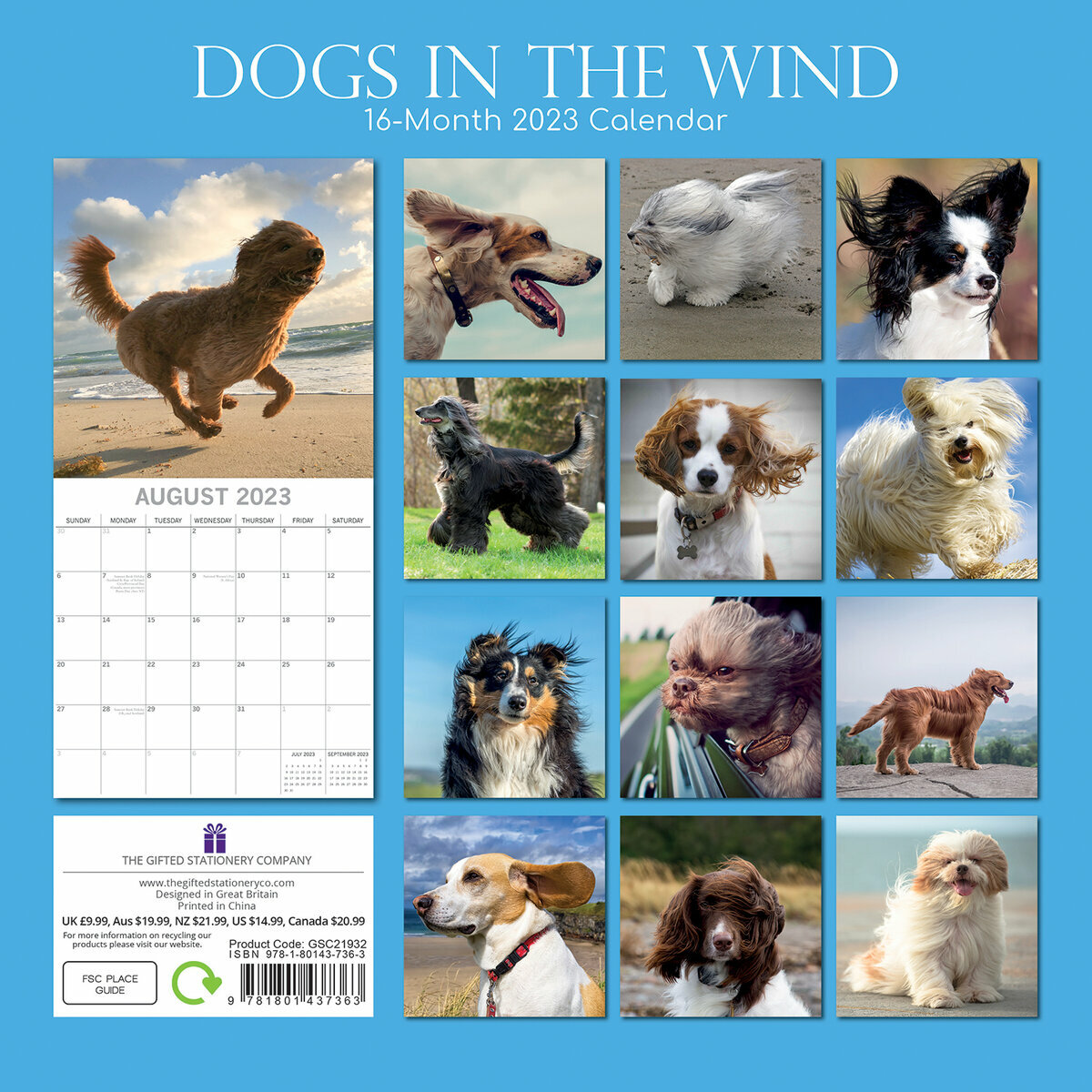 Calendrier Des Chiens 2023 Calendrier 2023 Chien Dans Le Vent