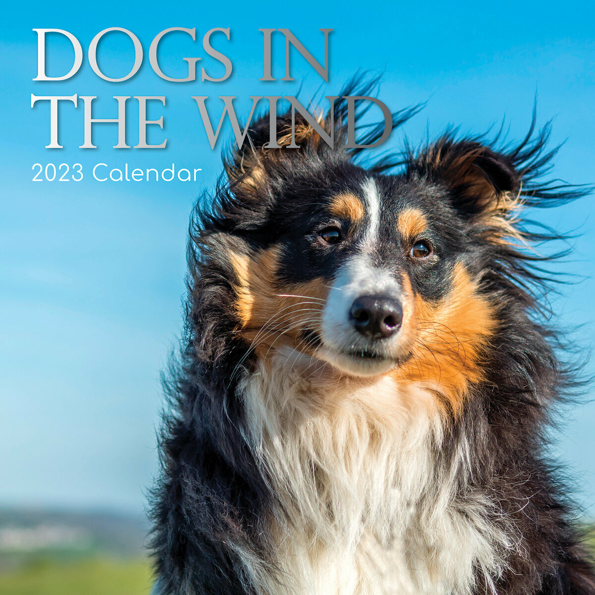 Calendrier Des Chiens 2023 Calendrier 2023 Chien Dans Le Vent