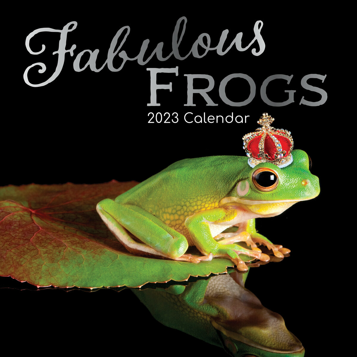 Calendrier 2023 Grenouille fabuleuse