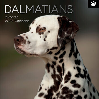 Calendrier 2023 Dalmatien