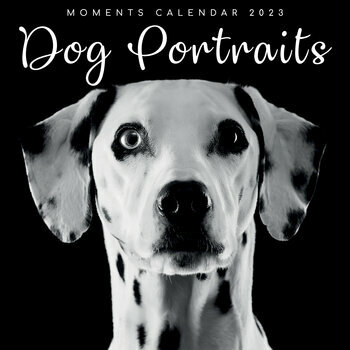 Calendrier De L Avent Pour Chien 2023 Calendriers Animaux 2023